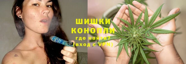 индика Краснотурьинск