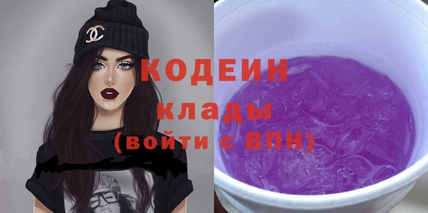 индика Краснотурьинск
