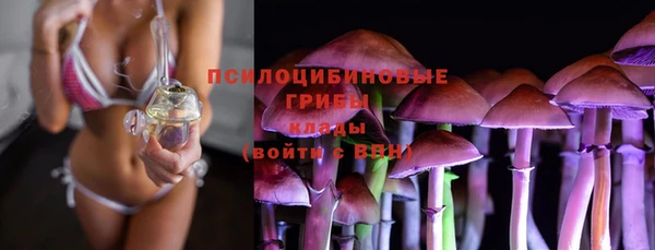 индика Краснотурьинск