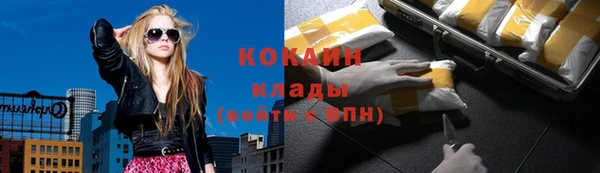 индика Красноперекопск