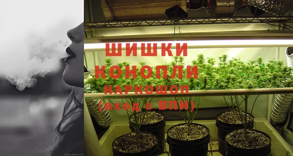 индика Красноперекопск