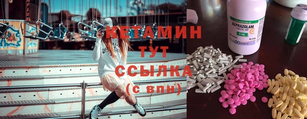 индика Краснотурьинск