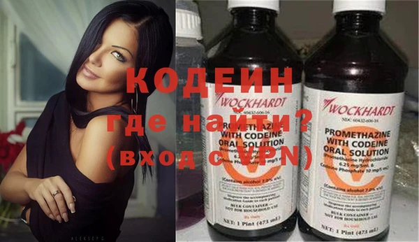 индика Краснотурьинск