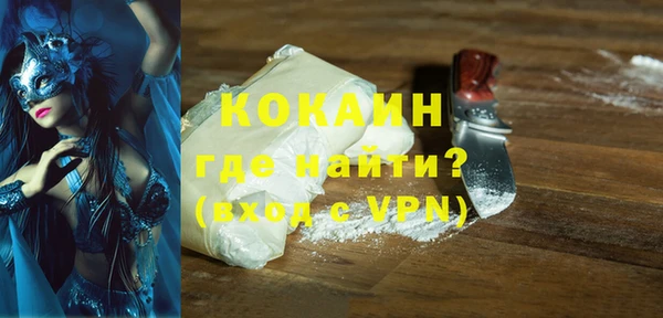 индика Краснотурьинск