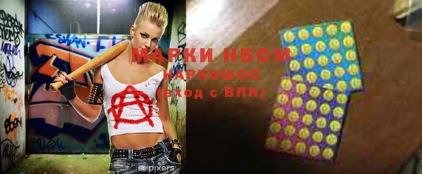 индика Краснотурьинск