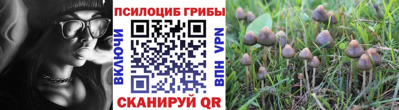 гидра как войти  Лихославль  Псилоцибиновые грибы прущие грибы 